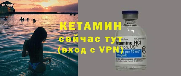 прущие грибы Дмитриев
