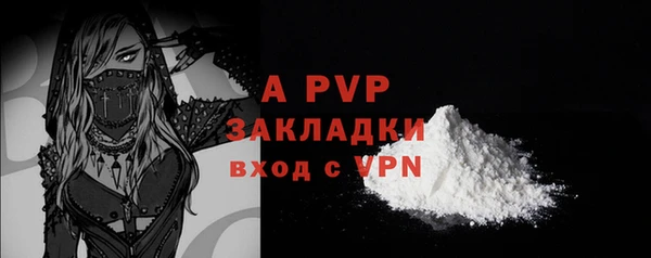 ECSTASY Дмитров