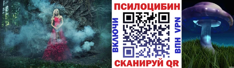 Псилоцибиновые грибы Magic Shrooms  сколько стоит  Луза 