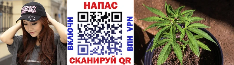 Конопля OG Kush где купить наркотик Луза